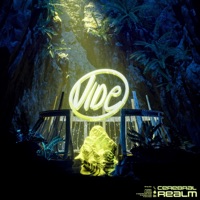 Cerebral Realm - EP - Vide