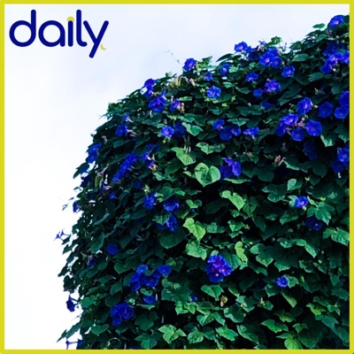Grow Together - EP