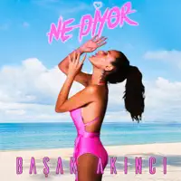 Ne Diyor — Başak Akıncı