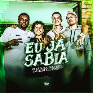 Eu Já Sabia (feat. Dj Pkzin)