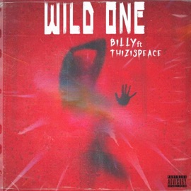WILD ONE (feat. Thizispeace) Terry Bills