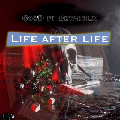 Life After Life (feat. Betaboilk) - Single