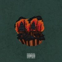 Burn Trees (feat. Kndrx & Mex) - Single - Sertified