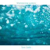 Shimmering Waters artwork