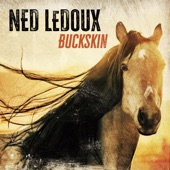 Ned LeDoux - Open Road