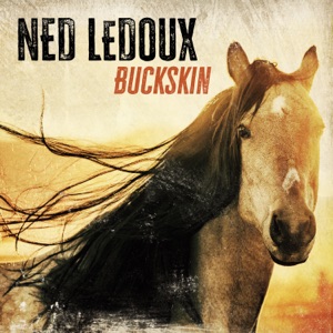 Ned LeDoux - This Ain't My First Rodeo - 排舞 音乐