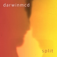 Split - Single - darwinmcd