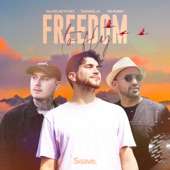 Freedom To Fly artwork