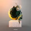 Camishe - Tonight (Bonzana & Max Oazo Remix)