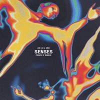 Senses - Single - Love Jai & Jomie