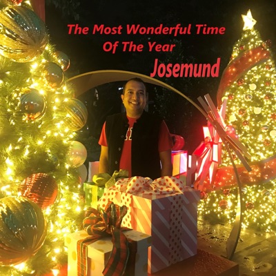 The Most Wonderful Time of the Year - Single