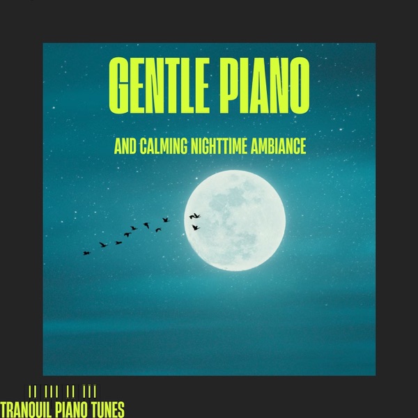Gentle Piano and Calming Nighttime Ambiance