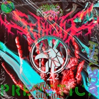 W.S.haitan? (feat. Tumor 666) - Single - Shaitan?