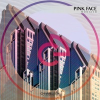 Pink Face - Single - Moogish