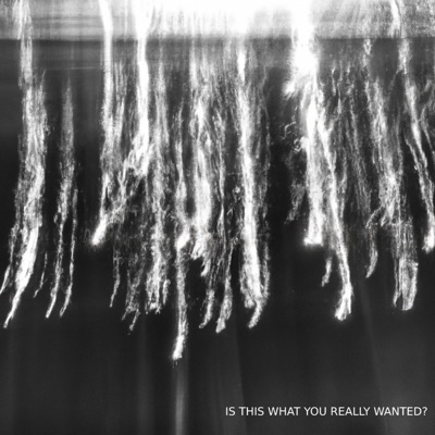 Is This What You Really Wanted? - Single