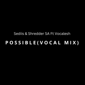 Possible (feat. Vocalesh) [Vocal Mix]