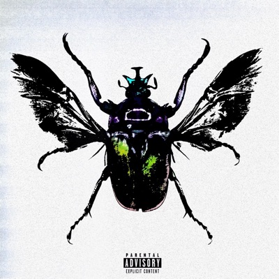 Black Beatles (feat. IDY bran) - Single