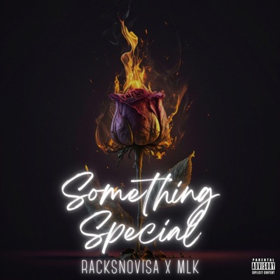 Something Special (feat. MLK) - Single