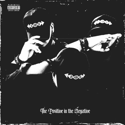 The Positive in the Negative - Single