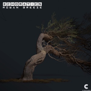 Rowan Breeze - EP