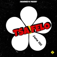 Tsa Felo (feat. Justa626, TallexQ & Major Maduna) - Single - THEGOODGXYS