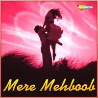 Tham Ke Baras Female — Alka Yagnik