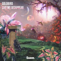 And We Disappear - Single - Goldbird & Dream Jackson