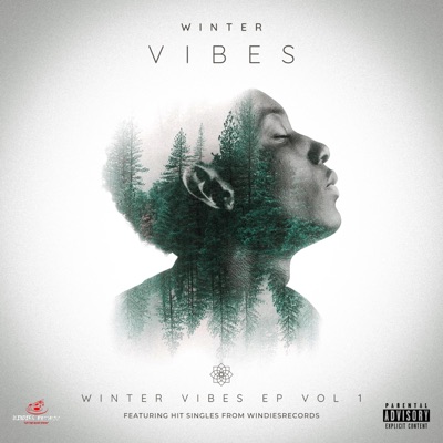 Winter Vibes (feat. Badmvn Telem)