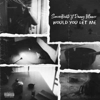 Would you Let Me - Single