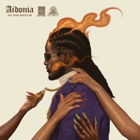 We Doh Regular - Single - Aidonia