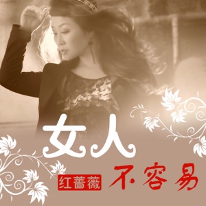 女人不容易 - Single