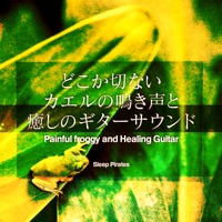Painful froggy and Healing Guitar vol.6, -GHIBLI-