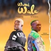 Wamiwale (feat. Kabex) - Single