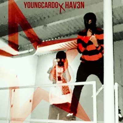 Heavy Metal (feat. HAV3N) - Single