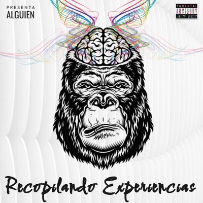 Recopilando Experiencias - Single
