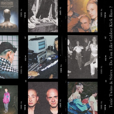 Do You Like Gabber Kick Bass ? (feat. Stirex) - Single