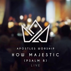 How Majestic (Psalm 8) (Live) - Single [feat. Mac Powell] - Single