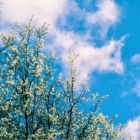 Peace of Mind - Single - Chilwell.