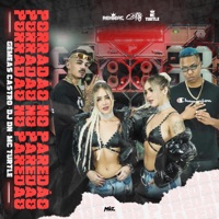 Porradão no Paredão - Single - Gêmeas Castro, MC TURTLE & DJ DN