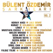 Yalnızlık Eski Bir Ustadır artwork