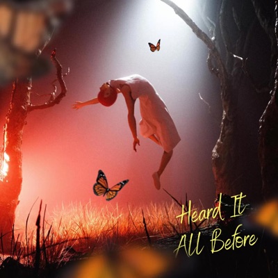 Heard It All Before - Single