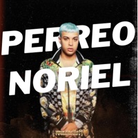 Album cover for PERREO NORIEL by romancitodj