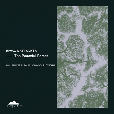 The Peaceful Forest - Single