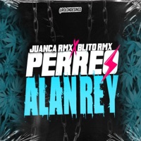 PERREO ALAN REY (feat. BlitoRMX) - Single - JuancaRMX