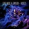 Voices cover art