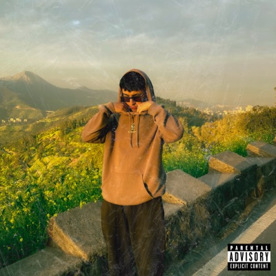 Bipolaridad - Single