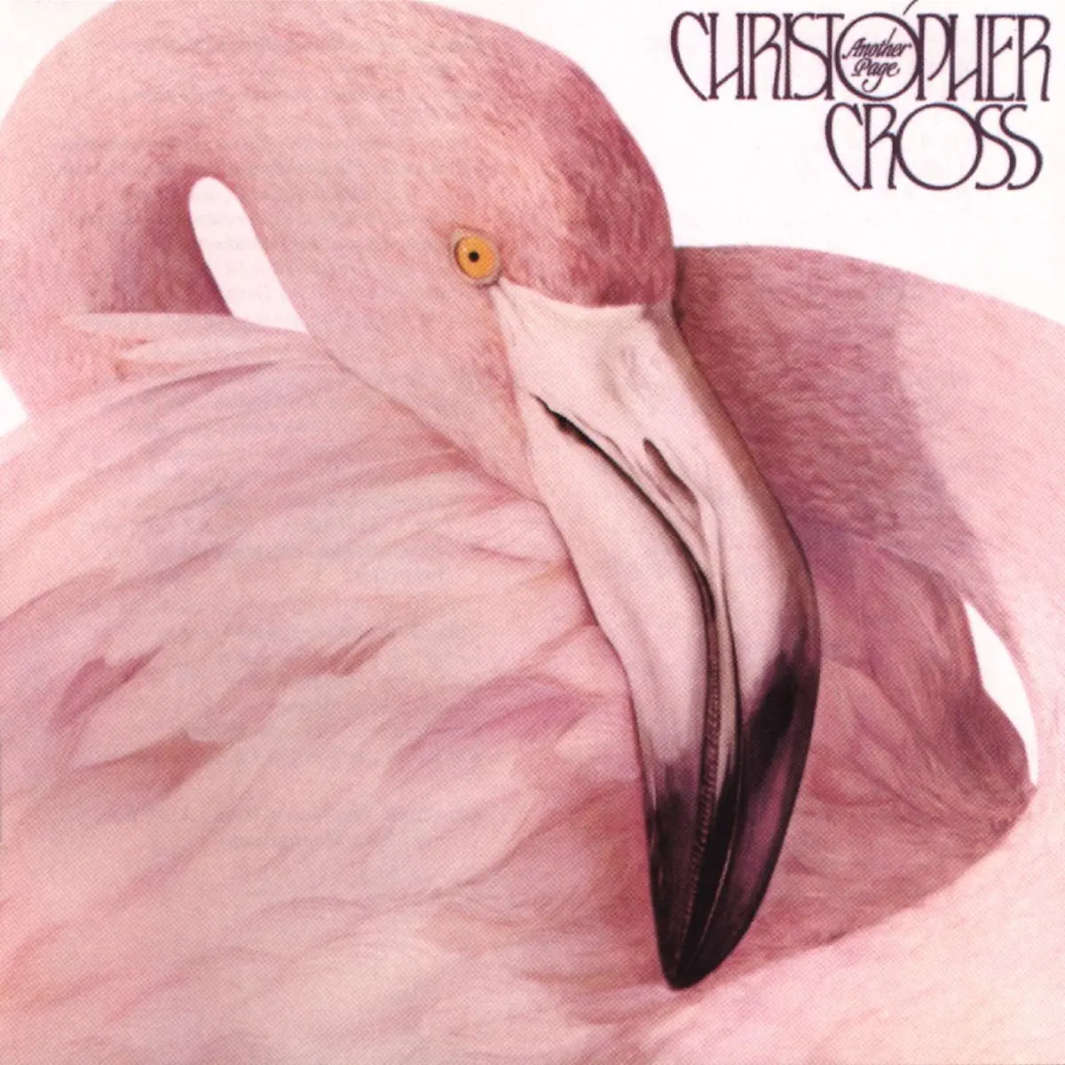 Christopher Cross - Another Page (2019 Remaster) (1983) [iTunes Plus AAC M4A]-新房子