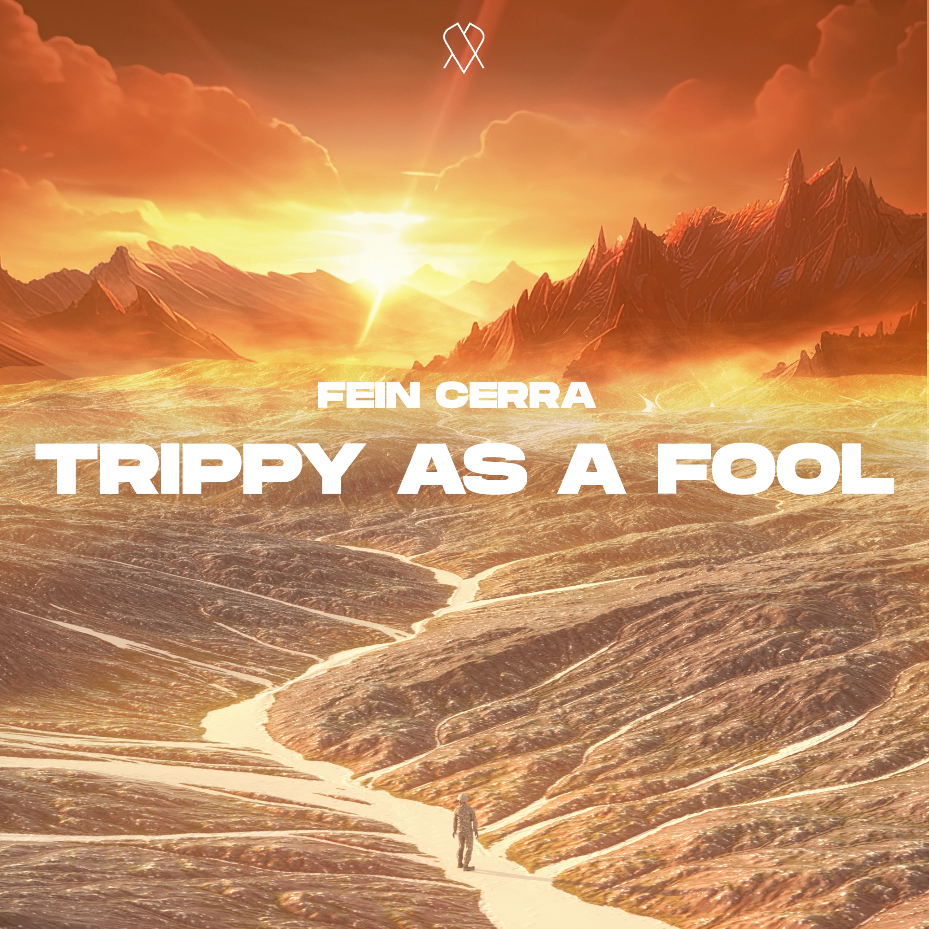 Trippy As a Fool - Single
