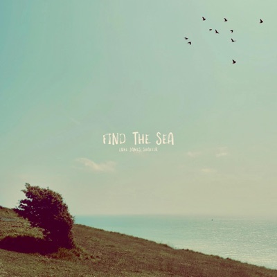 Find the Sea - Single