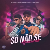 SÓ NÃO SE APAIXONA (feat. DJ Theo Costa & CLUB DA DZ7) - Single - MC VITIN DA DZ7, MC RUAN BF & Dj luan pj